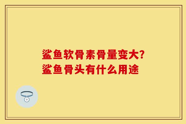 鲨鱼软骨素骨量变大？鲨鱼骨头有什么用途