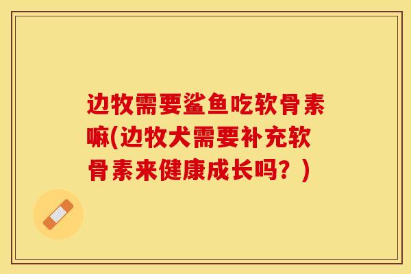 边牧需要鲨鱼吃软骨素嘛(边牧犬需要补充软骨素来健康成长吗？)