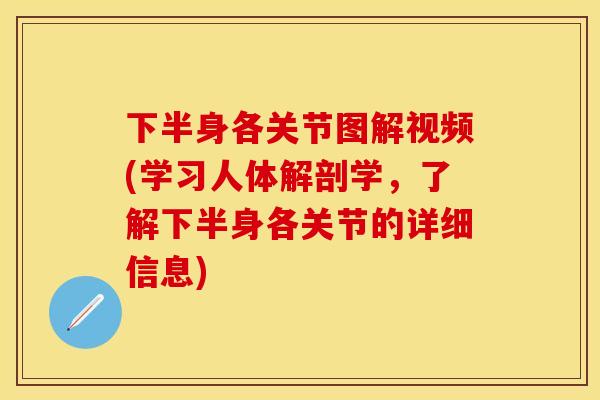 下半身各关节图解视频(学习人体解剖学，了解下半身各关节的详细信息)