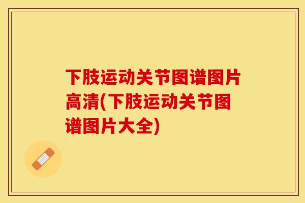 下肢运动关节图谱图片高清(下肢运动关节图谱图片大全) 下肢运动关节图谱图片高清(下肢运动关节图谱图片大全)