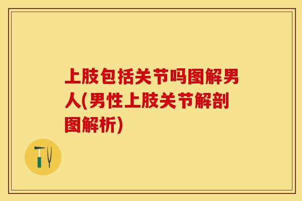 上肢包括关节吗图解男人(男性上肢关节解剖图解析)