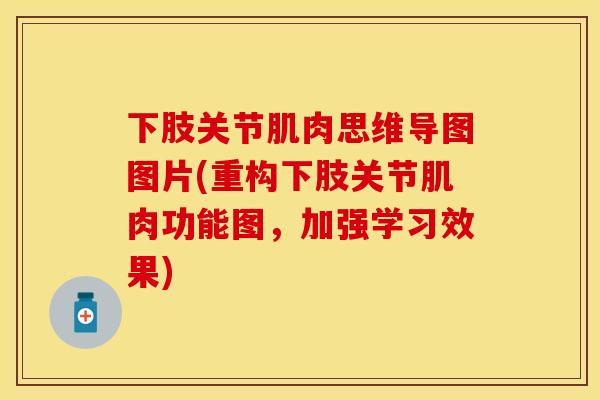 下肢关节肌肉思维导图图片(重构下肢关节肌肉功能图，加强学习效果)