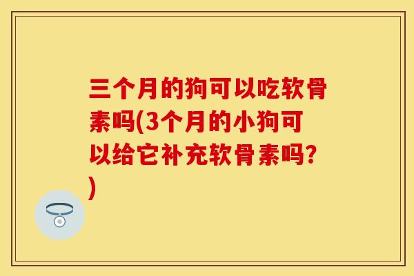 三个月的狗可以吃软骨素吗(3个月的小狗可以给它补充软骨素吗？)