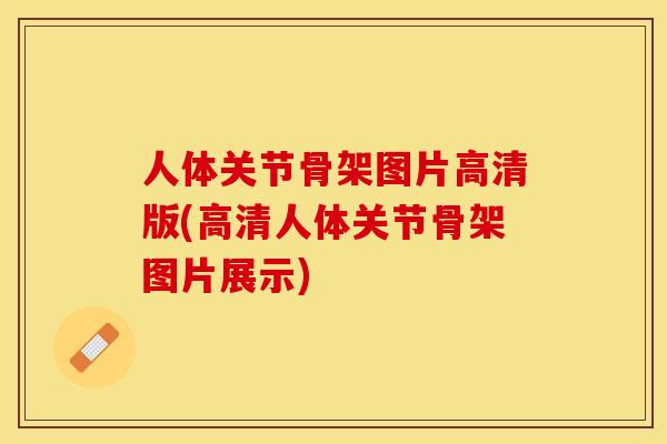 人体关节骨架图片高清版(高清人体关节骨架图片展示)