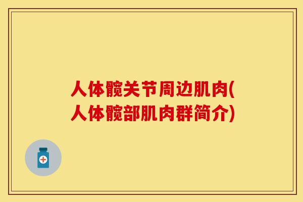 人体髋关节周边肌肉(人体髋部肌肉群简介)