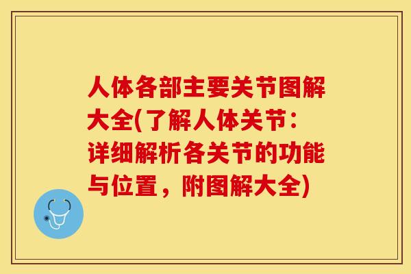 人体各部主要关节图解大全(了解人体关节：详细解析各关节的功能与位置，附图解大全)