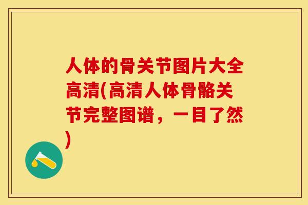 人体的骨关节图片大全高清(高清人体骨骼关节完整图谱，一目了然)