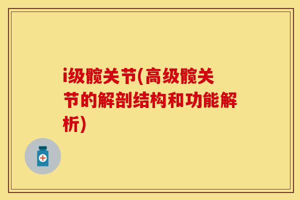 i级髋关节(高级髋关节的解剖结构和功能解析)