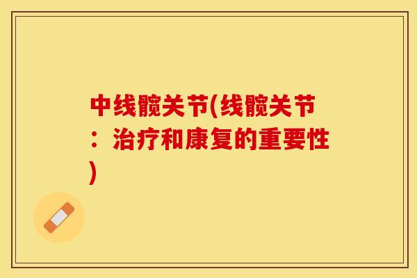 中线髋关节(线髋关节：治疗和康复的重要性)