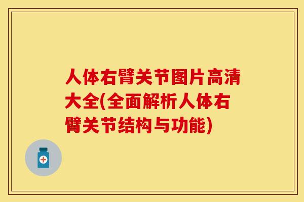 人体右臂关节图片高清大全(全面解析人体右臂关节结构与功能)