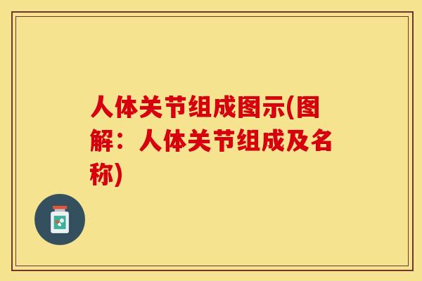 人体关节组成图示(图解：人体关节组成及名称)