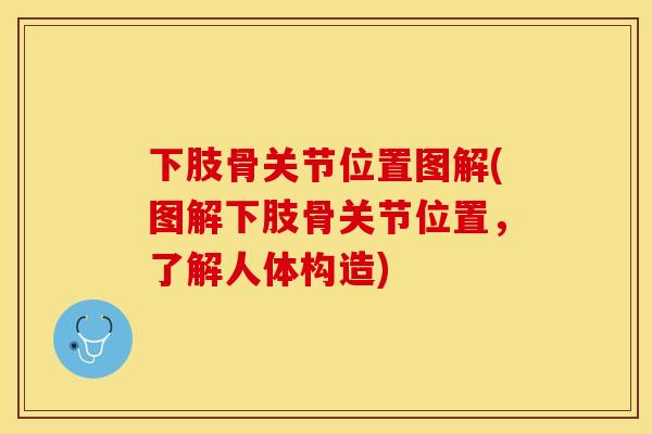 下肢骨关节位置图解(图解下肢骨关节位置，了解人体构造)