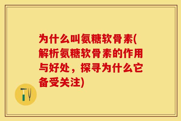 为什么叫氨糖软骨素(解析氨糖软骨素的作用与好处，探寻为什么它备受关注)