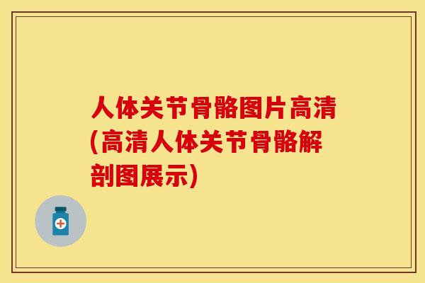 人体关节骨骼图片高清(高清人体关节骨骼解剖图展示)