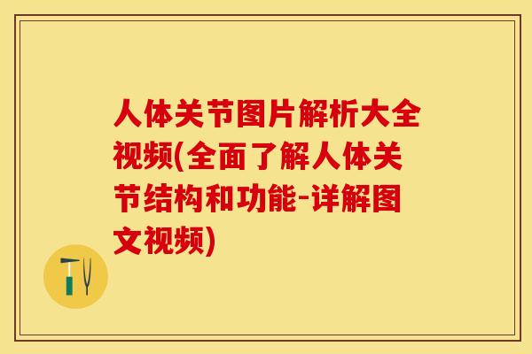 人体关节图片解析大全视频(全面了解人体关节结构和功能-详解图文视频)