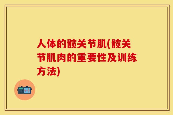 人体的髋关节肌(髋关节肌肉的重要性及训练方法)