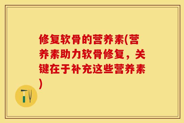 修复软骨的营养素(营养素助力软骨修复，关键在于补充这些营养素)