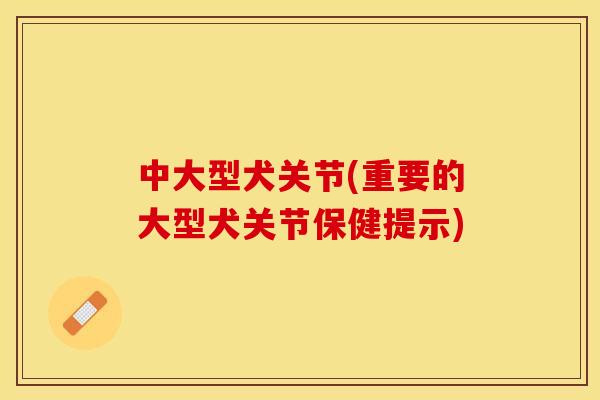 中大型犬关节(重要的大型犬关节保健提示) 中大型犬关节(重要的大型犬关节保健提示)