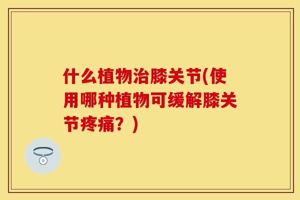 什么植物膝关节(使用哪种植物可缓解膝关节?) 什么植物膝关节(使用哪种植物可缓解膝关节?)