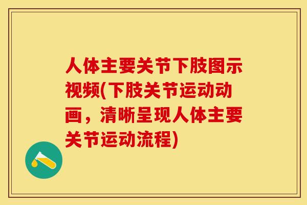 人体主要关节下肢图示视频(下肢关节运动动画,清晰呈现人体主要关节运动流程) 人体主要关节下肢图示视频(下肢关节运动动画,清晰呈现人体主要关节运动流程)