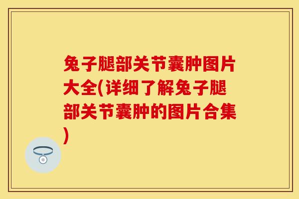 兔子腿部关节囊肿图片大全(详细了解兔子腿部关节囊肿的图片合集)