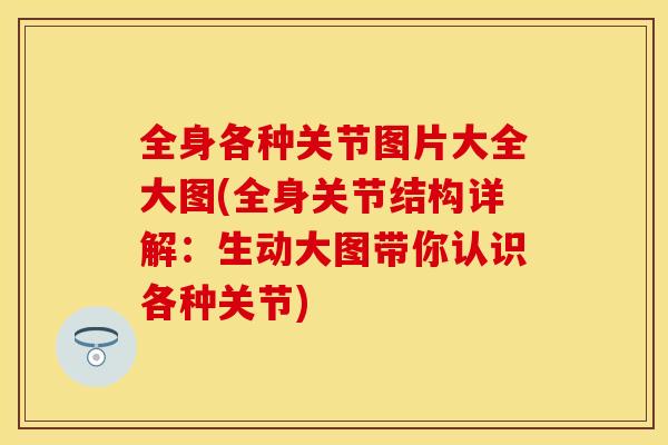 全身各种关节图片大全大图(全身关节结构详解:生动大图带你认识各种关节) 全身各种关节图片大全大图(全身关节结构详解:生动大图带你认识各种关节)