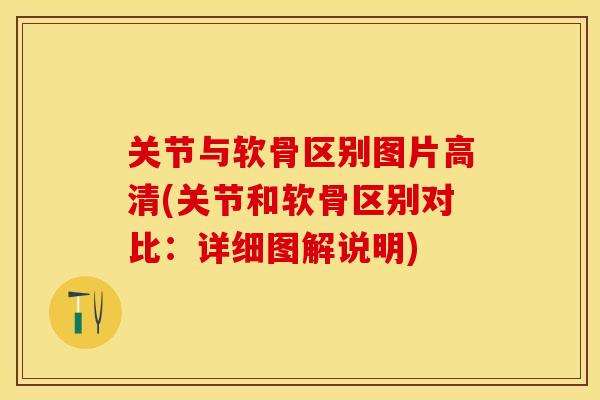 关节与软骨区别图片高清(关节和软骨区别对比：详细图解说明)