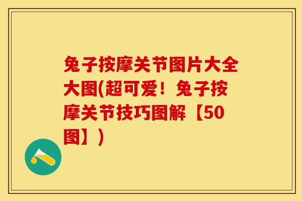兔子按摩关节图片大全大图(超可爱！兔子按摩关节技巧图解【50图】)