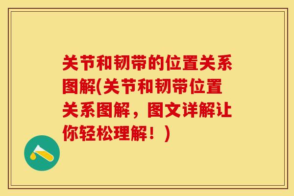 关节和韧带的位置关系图解(关节和韧带位置关系图解,图文详解让你轻松理解!) 关节和韧带的位置关系图解(关节和韧带位置关系图解,图文详解让你轻松理解!)