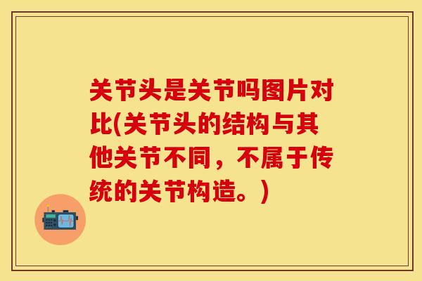 关节头是关节吗图片对比(关节头的结构与其他关节不同，不属于传统的关节构造。)