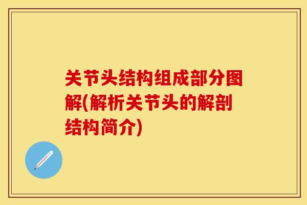 关节头结构组成部分图解(解析关节头的解剖结构简介)