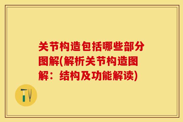 关节构造包括哪些部分图解(解析关节构造图解：结构及功能解读)