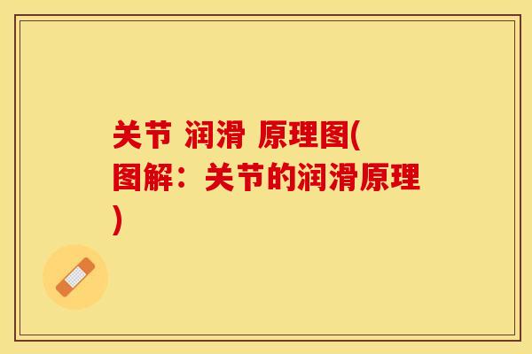 关节 润滑 原理图(图解：关节的润滑原理)