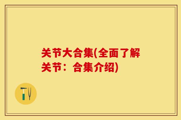 关节大合集(全面了解关节：合集介绍)