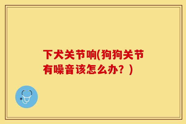 下犬关节响(狗狗关节有噪音该怎么办？)