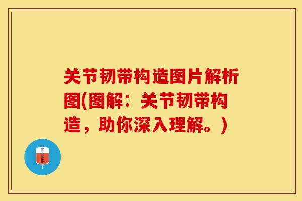 关节韧带构造图片解析图(图解：关节韧带构造，助你深入理解。)