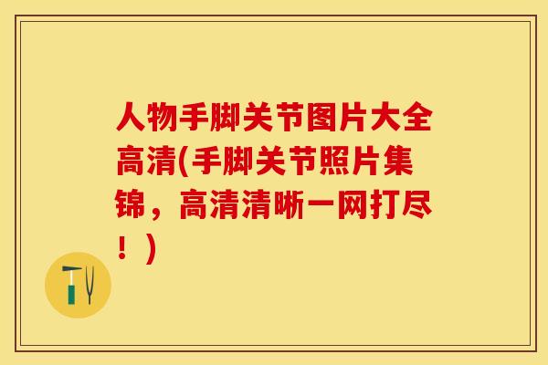 人物手脚关节图片大全高清(手脚关节照片集锦，高清清晰一网打尽！)