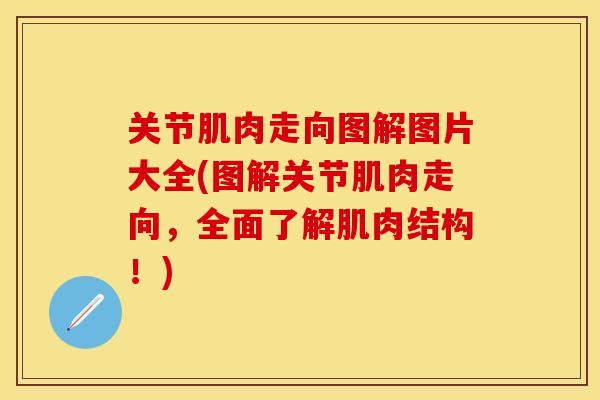 关节肌肉走向图解图片大全(图解关节肌肉走向，全面了解肌肉结构！)