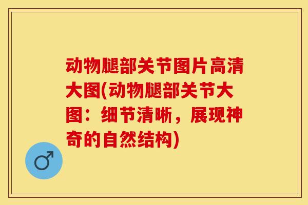 动物腿部关节图片高清大图(动物腿部关节大图：细节清晰，展现神奇的自然结构)