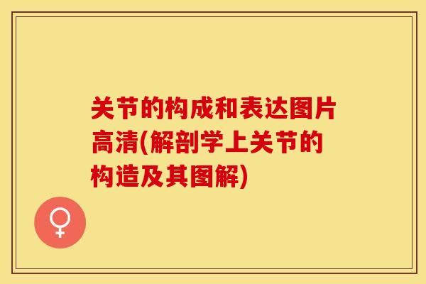 关节的构成和表达图片高清(解剖学上关节的构造及其图解)