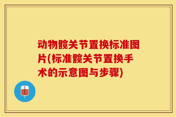 动物髋关节置换标准图片(标准髋关节置换手术的示意图与步骤)