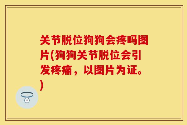 关节脱位狗狗会疼吗图片(狗狗关节脱位会引发疼痛，以图片为证。)