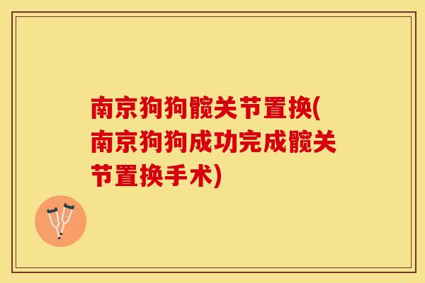南京狗狗髋关节置换(南京狗狗成功完成髋关节置换手术)