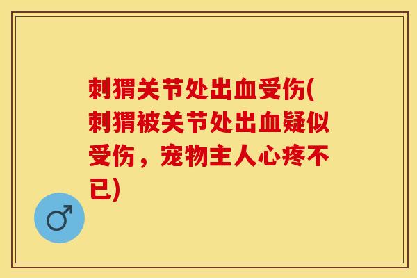 刺猬关节处出血受伤(刺猬被关节处出血疑似受伤，宠物主人心疼不已)