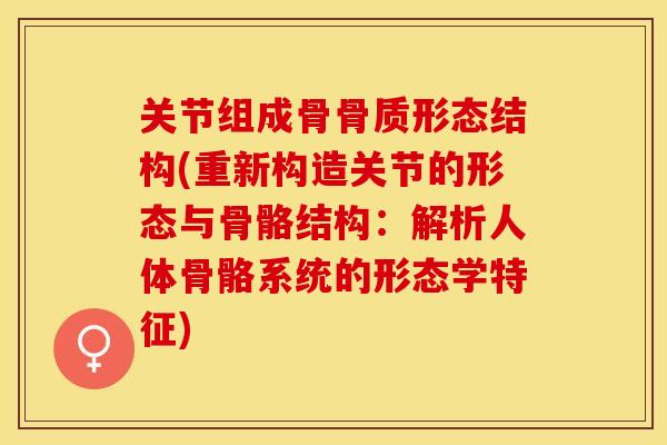 关节组成骨骨质形态结构(重新构造关节的形态与骨骼结构：解析人体骨骼系统的形态学特征)