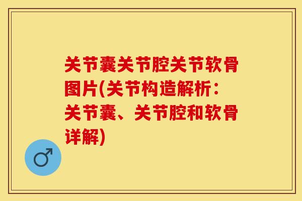 关节囊关节腔关节软骨图片(关节构造解析：关节囊、关节腔和软骨详解)