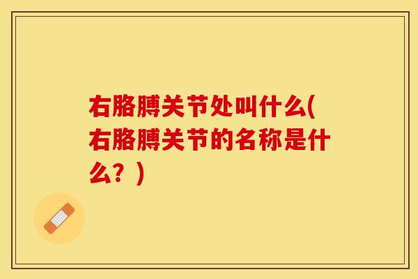 右胳膊关节处叫什么(右胳膊关节的名称是什么？)