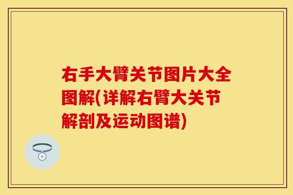 右手大臂关节图片大全图解(详解右臂大关节解剖及运动图谱)