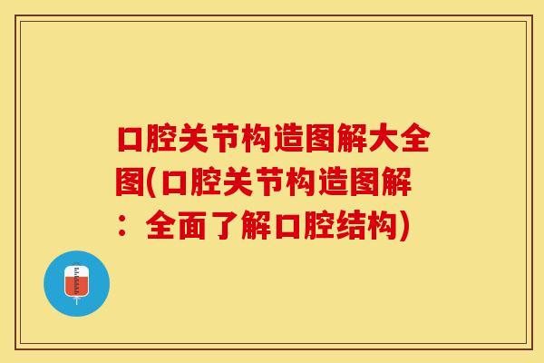 口腔关节构造图解大全图(口腔关节构造图解：全面了解口腔结构)