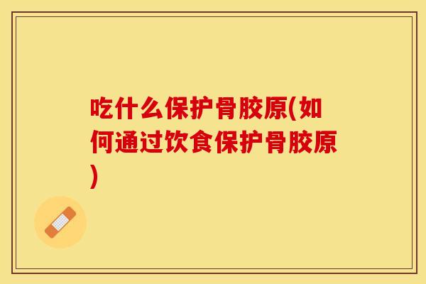 吃什么保护骨胶原(如何通过饮食保护骨胶原) 吃什么保护骨胶原(如何通过饮食保护骨胶原)